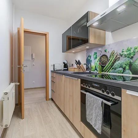 Altstadtapartment, 80 qm,2 Schlafzimmer,Parkplatz,Netflix Cottbus Exterior foto